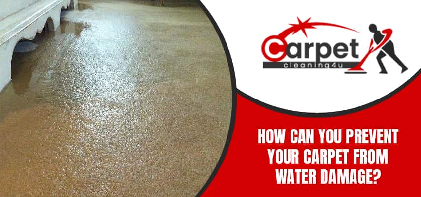 Prevent Your Carpet From Water Damage